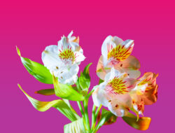 Gardening Projects Help Children Flower