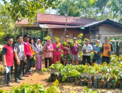 Sukseskan Ketahanan Pangan, Pemdes Samban Jaya Salurkan Ratusan Bibit Buah