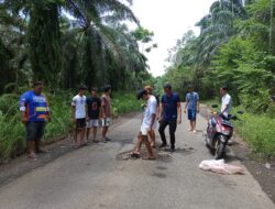 Pemdes Balam dan Teluk Ajang Tambal Jalan Berlubang 