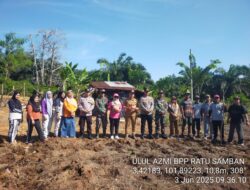 Pemdes Serangai Wujudkan Program Ketahanan Pangan 