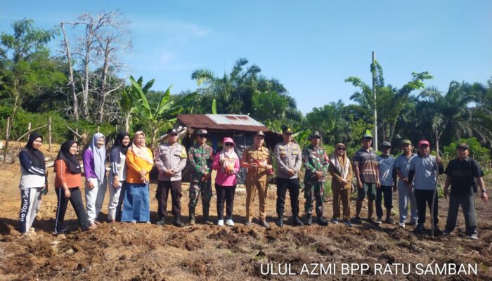 Pemdes Serangai Wujudkan Program Ketahanan Pangan 