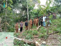 Pemdes Sidorejo Kembangkan Ayam Petelur