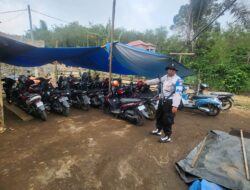Polsek Bermani Ulu Gerebek Arena Judi Sabung Ayam