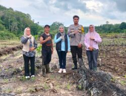 Sidak “SadeSahe”, Dinas TPHP Provinsi Bengkulu Apresiasi Kerja Kades Datar Lebar