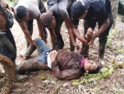 Kecam Aksi Penembakan, YLH Desak Tangkap Pelaku