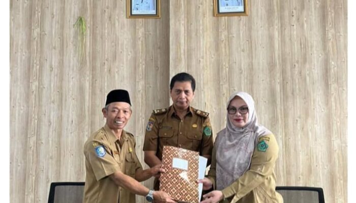 Mery Tresiana Effendi Diamanahkan Jadi Plat Sekretaris Dinkes RL